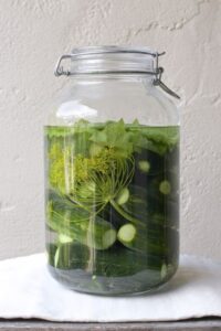 Fermenting Revolution: The Universal Fermented Pickle Recipe Image